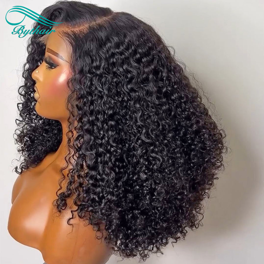 Curly 5x5 Hd Lace Closure Wig Human Hair Transparent Glueless 5x5 Closure Wig For Women